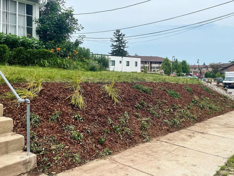 Creating Unusable Lawn Areas