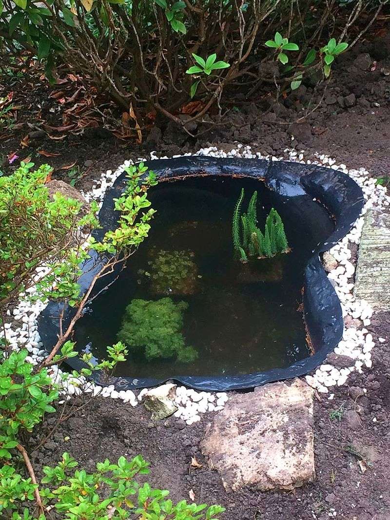 Prefabricated Plastic Pond Kits That Look Artificial