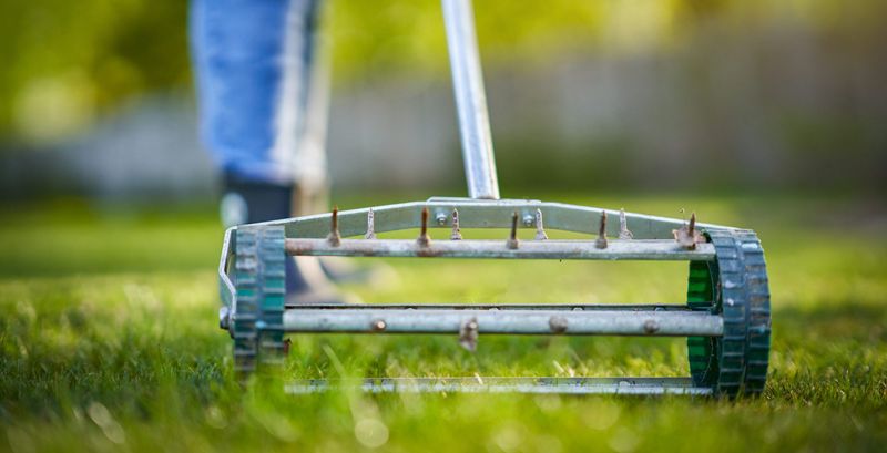 Improve Soil Drainage To Discourage Clover