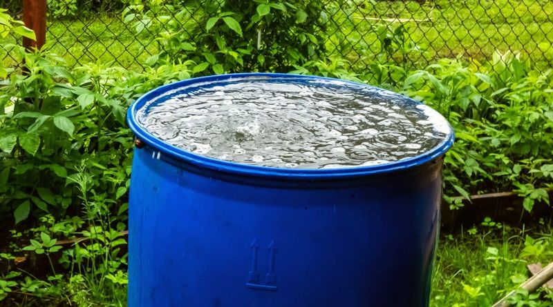 Neglecting Water Quality