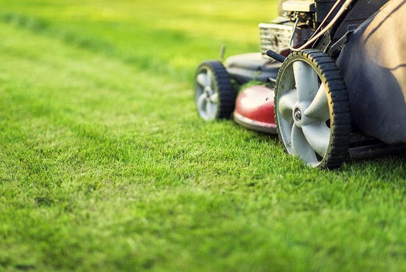 Mowing Too Short