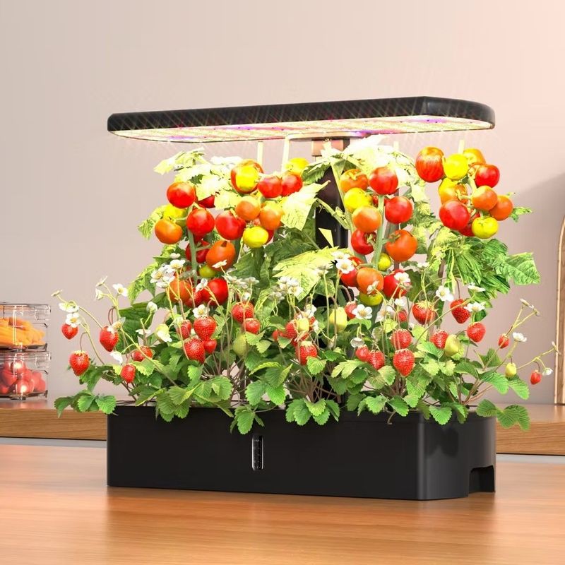 Hydroponic Window Boxes