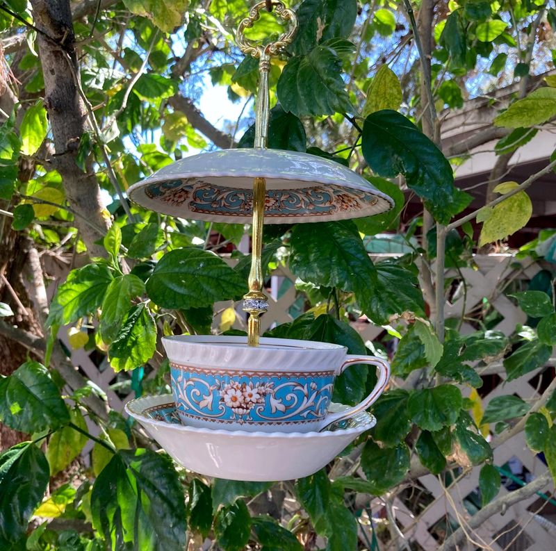 Old Teacups as Water Sources