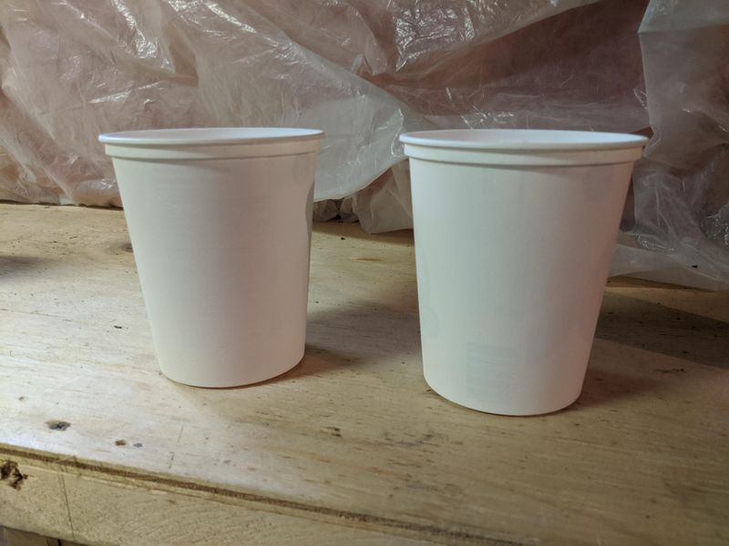 Yogurt Cups Create Mini Pollinator Ponds