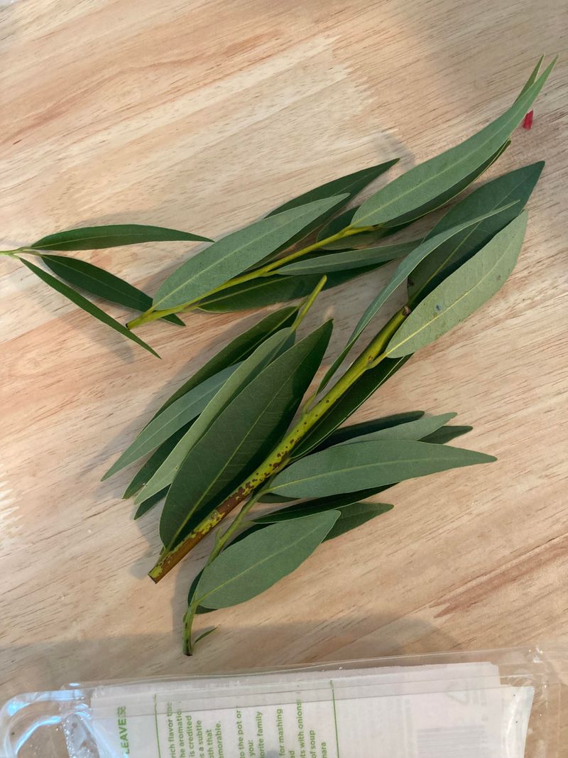 Bay Leaf Drainage Layer