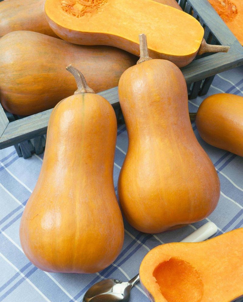 Honeynut Squash