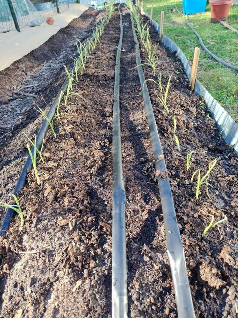Track Soil Moisture Cycles