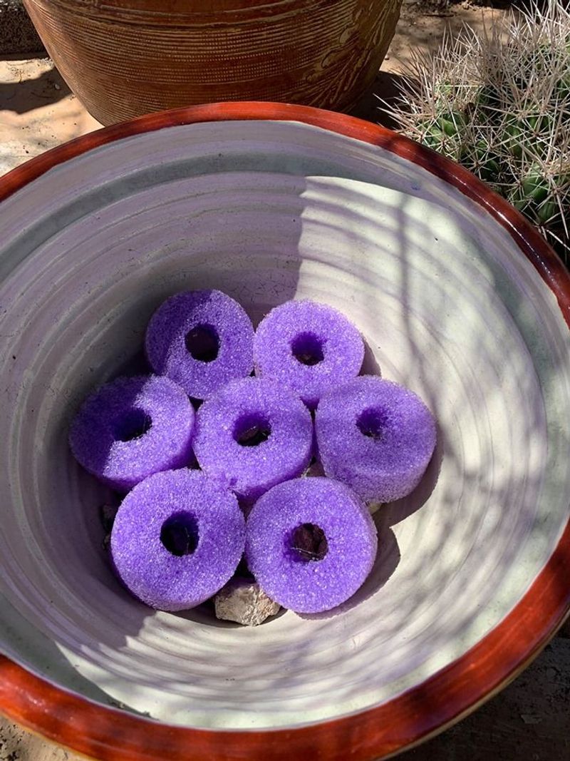 Pool Noodles