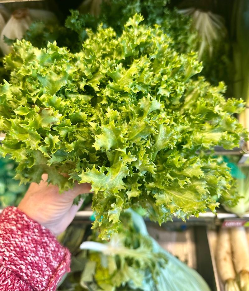 Endive