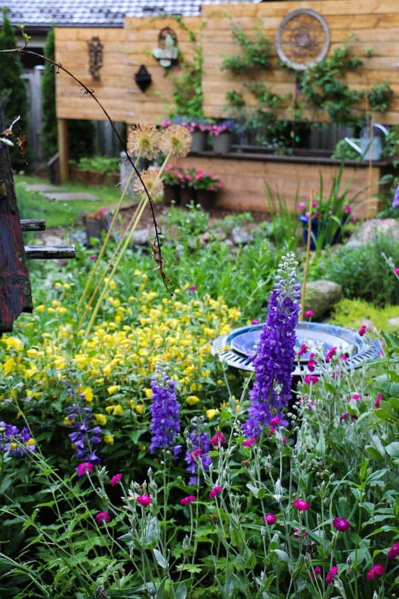 Delphiniums and Tomatoes