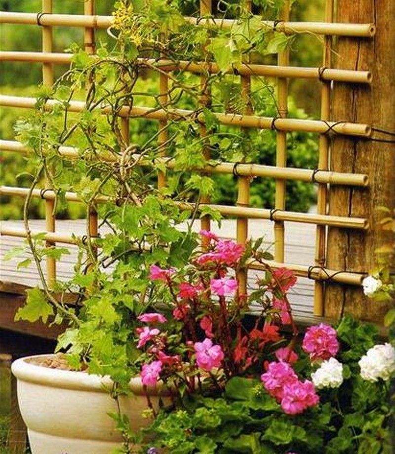 Repurposed Trellis Segments