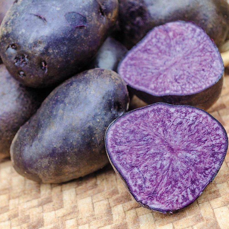 Purple Majesty Potato