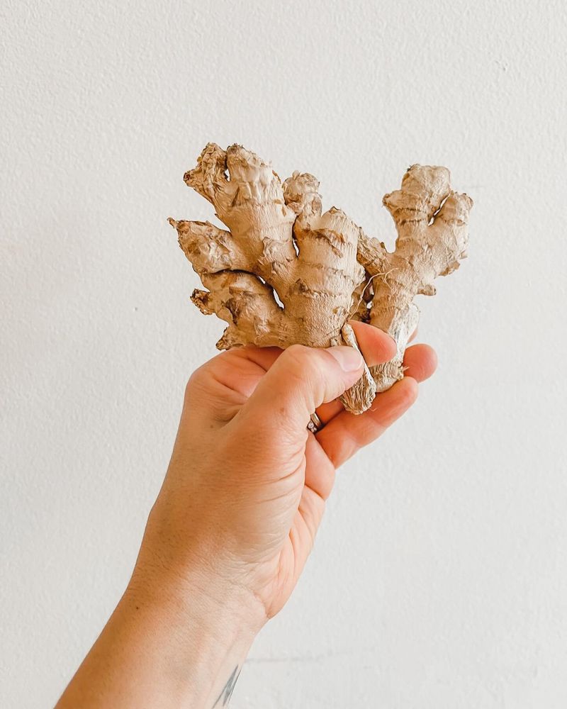 Ginger