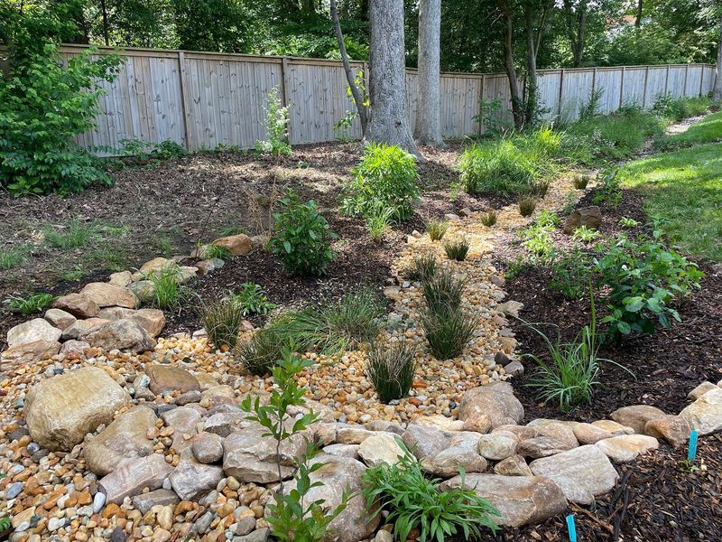 Rain Garden Creation