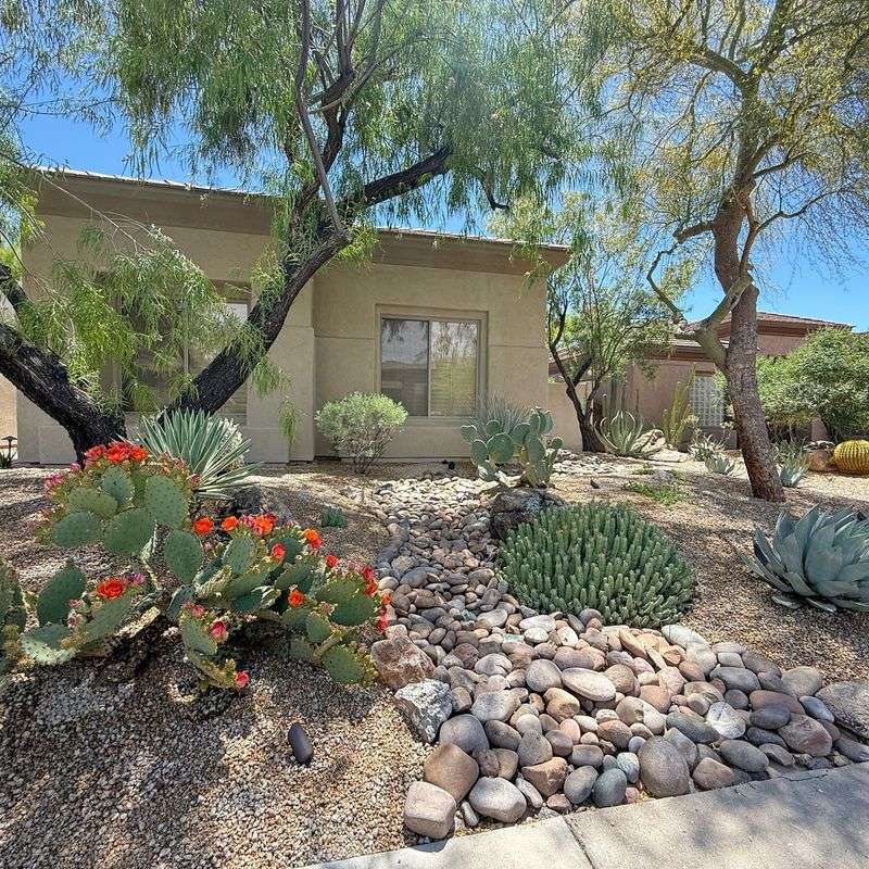 Desert-Inspired Xeriscape