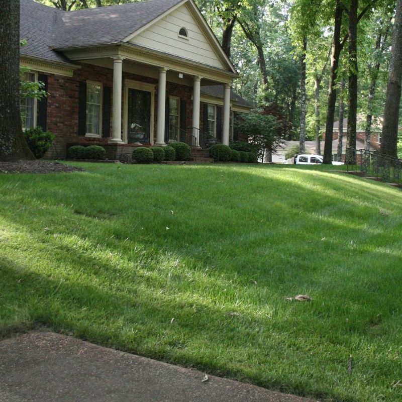 Synthetic Lawn Fertilizer
