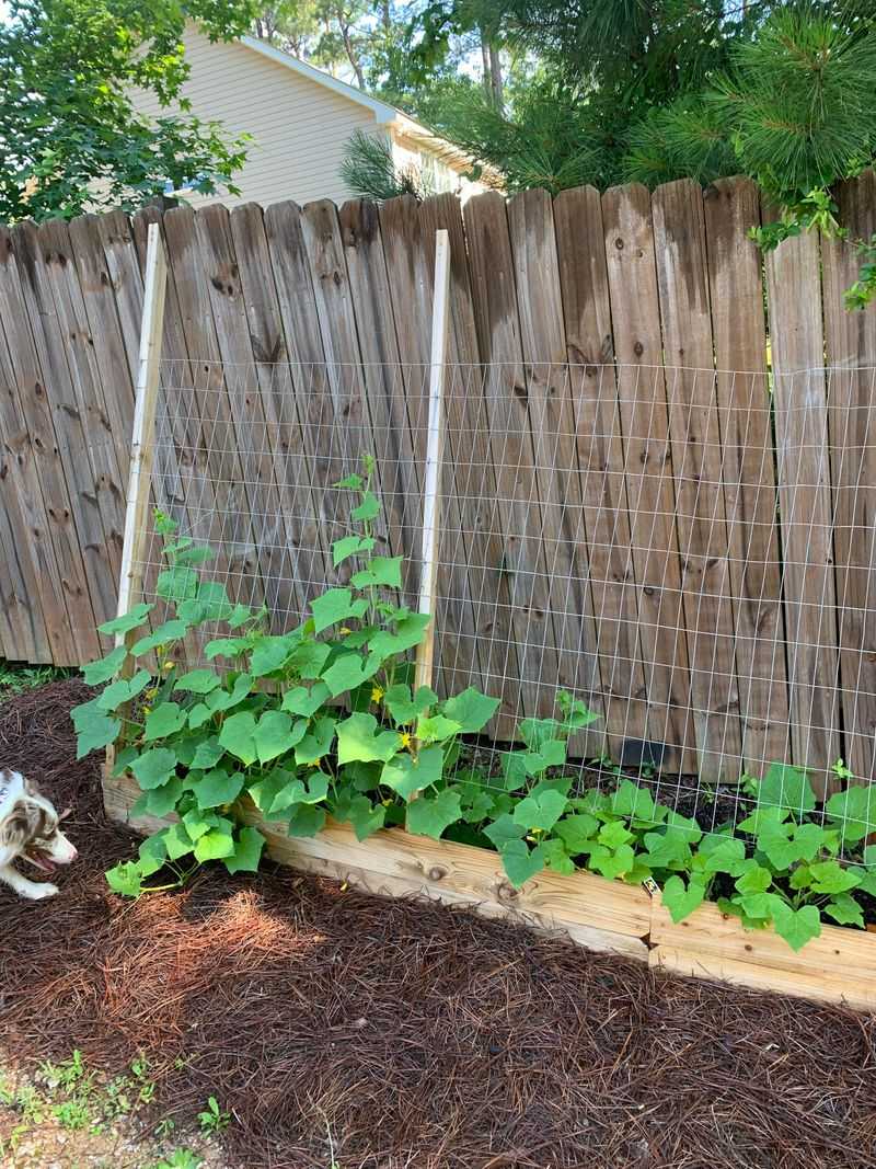Time Your Planting Perfectly