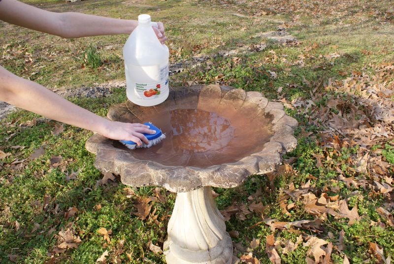 NEVER Use Chemical Additives