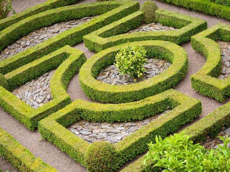 Use Quality Soil and Proper Drainage