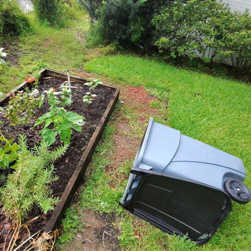 Remove Competing Weeds