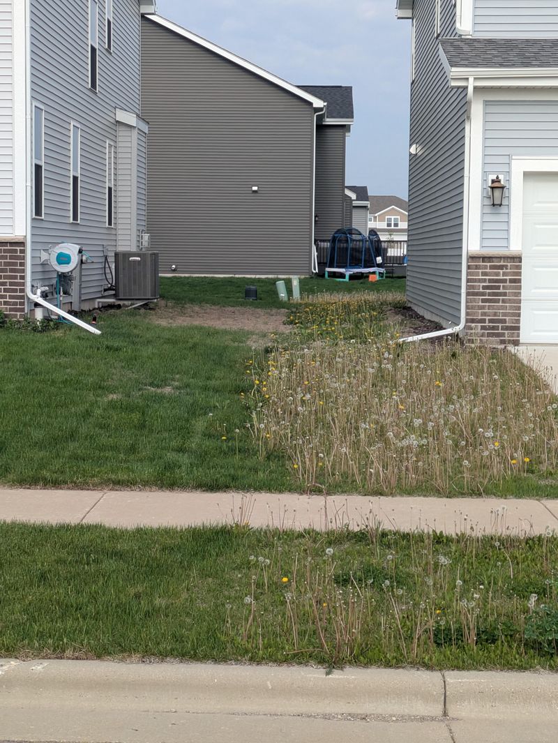 Apply Pre-Emergent Herbicides