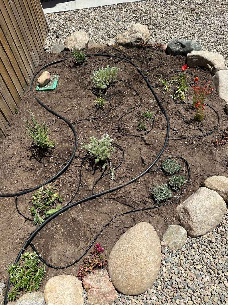 Install Drip Irrigation