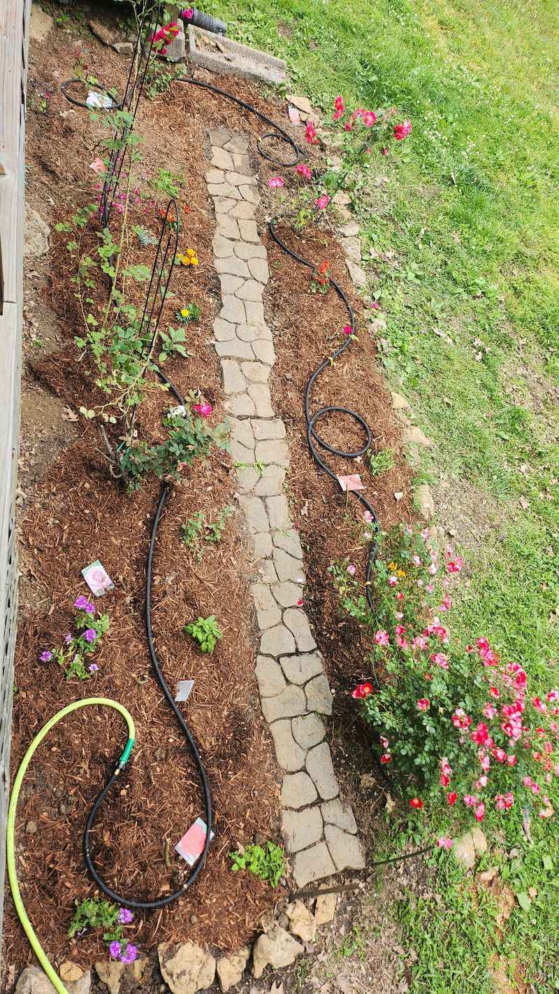 Install Drip Irrigation Systems