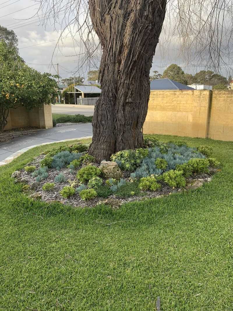 Wildlife Habitat