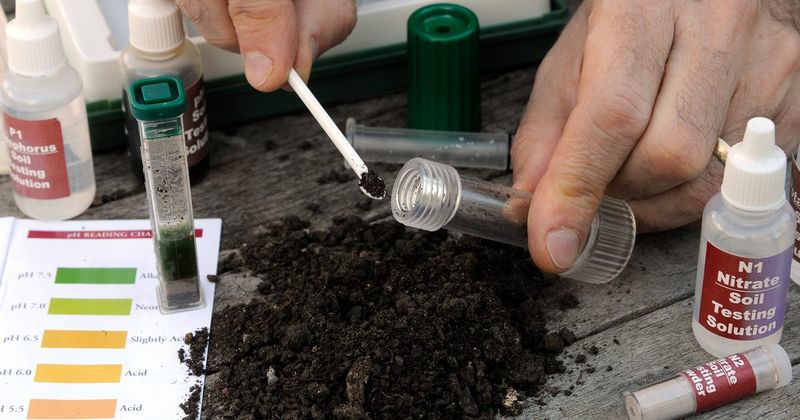Neglecting Soil PH Levels