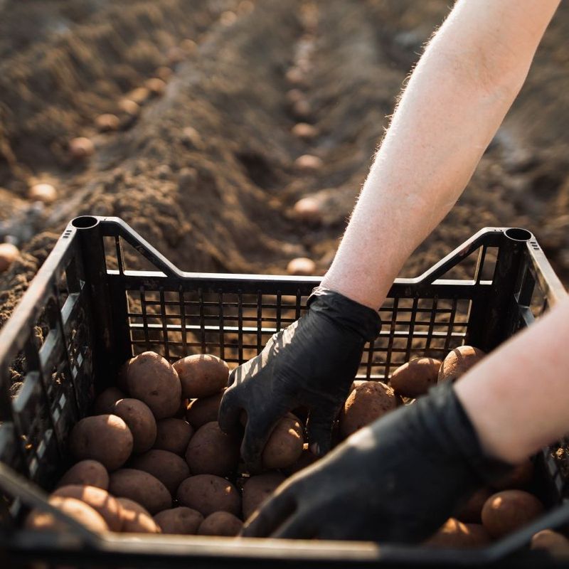 Planting In Cold, Wet Spring Soil