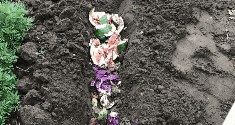 Burying Kitchen Scraps Directly