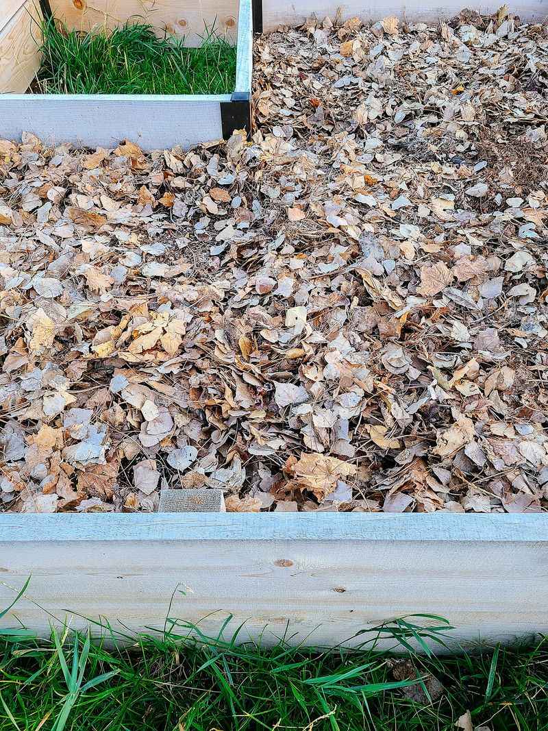 Leaving Fallen Leaves In Flower Beds