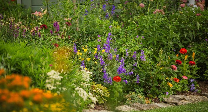 Crowding With Other Cut Flowers