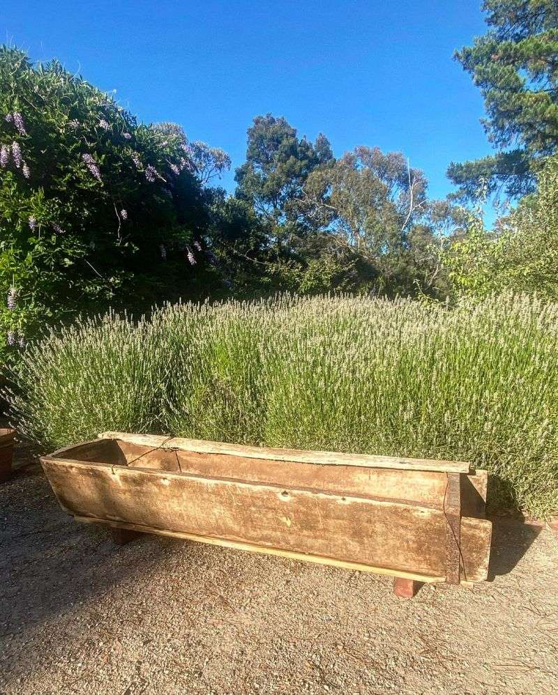 Wooden Drawer Herb Garden
