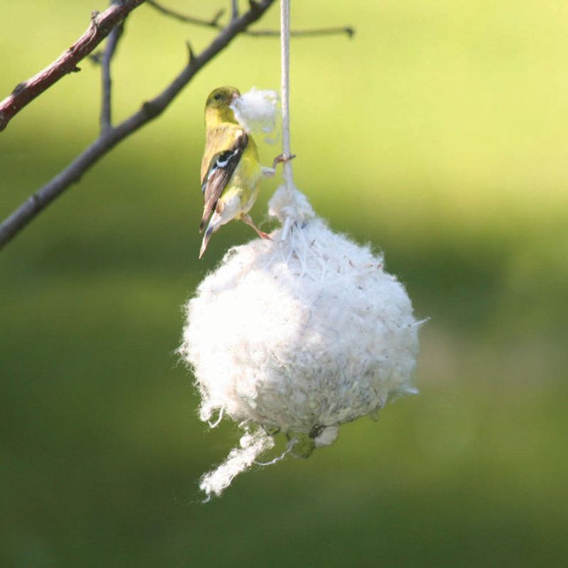 Dryer Lint in Mesh Bags