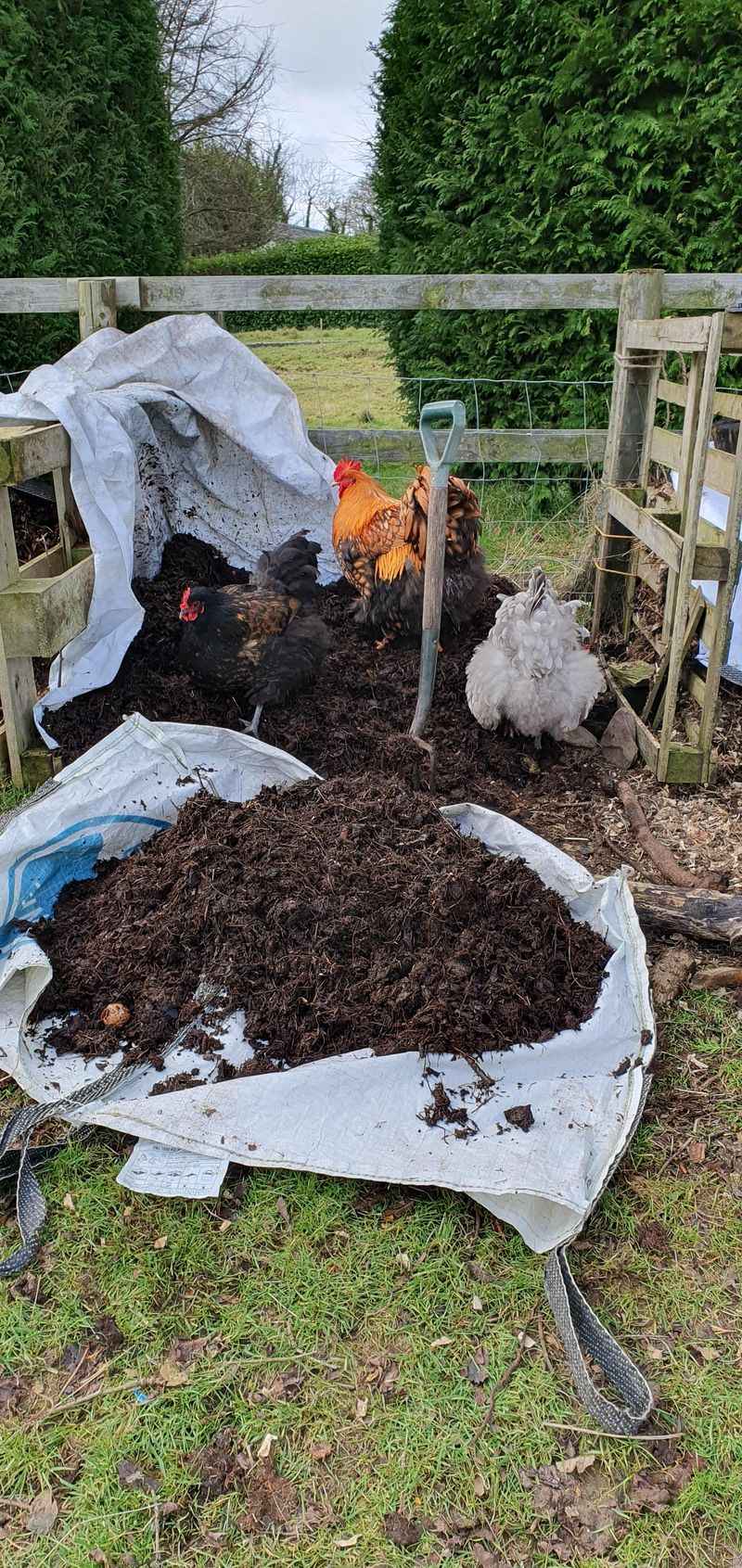 Compost