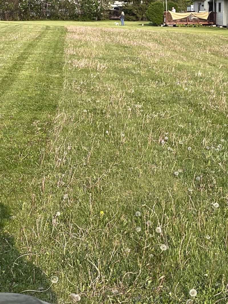 Nitrogen Imbalance Warning
