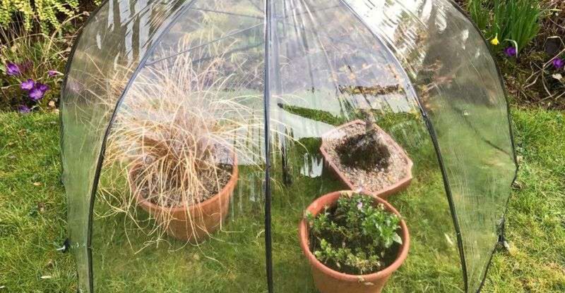 Umbrella Greenhouse