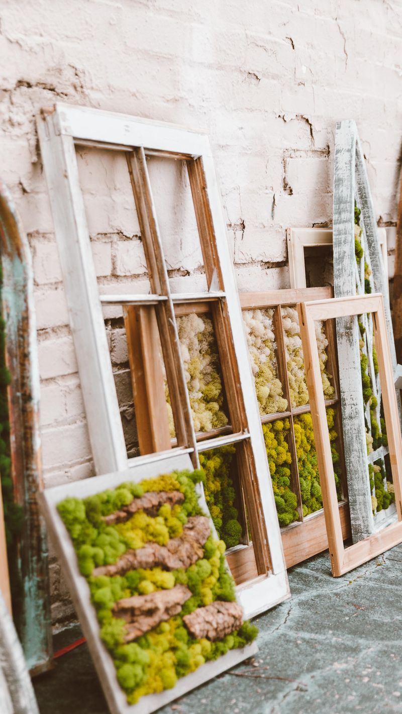 Old Window Frames