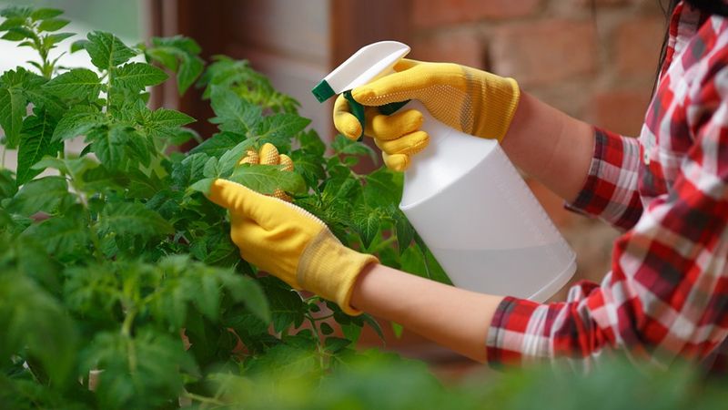 Scent Deterrents
