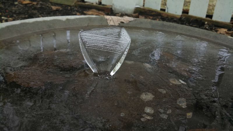 Winter Freezes Cause Damage