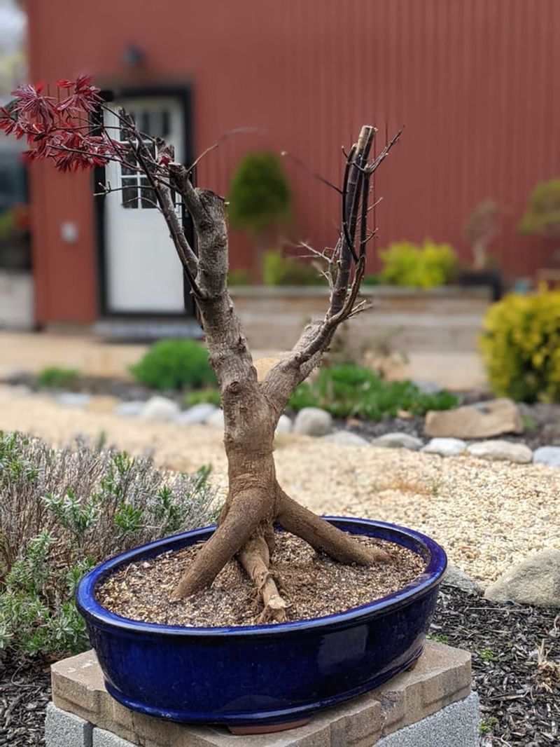 Master Proper Potting Techniques