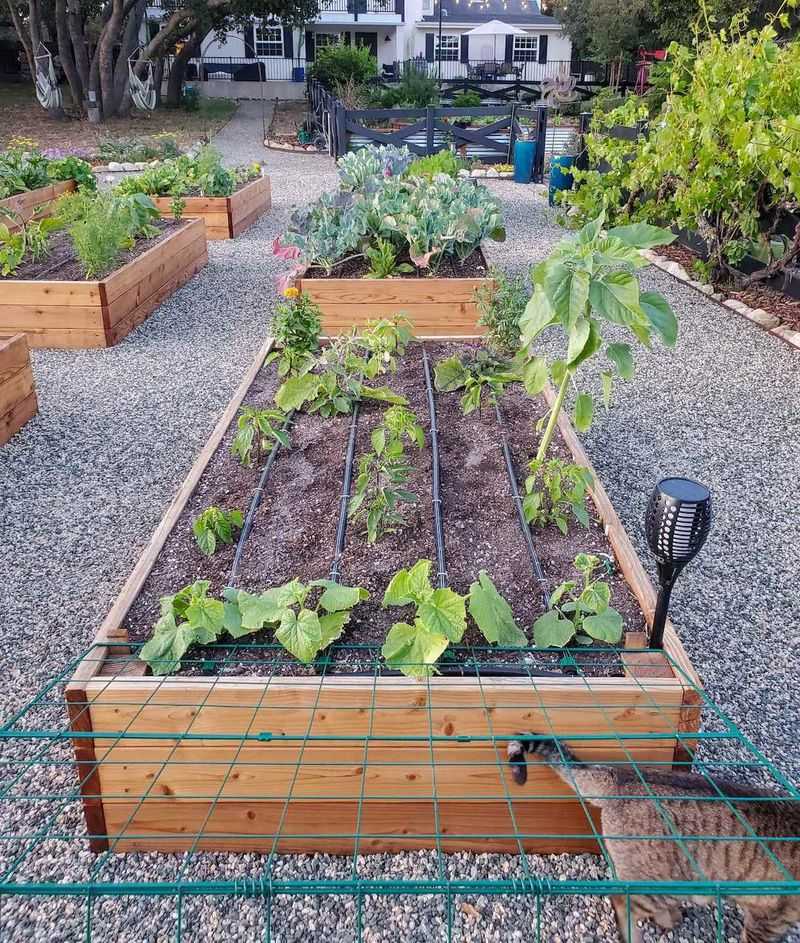 Keep Your Garden Clean