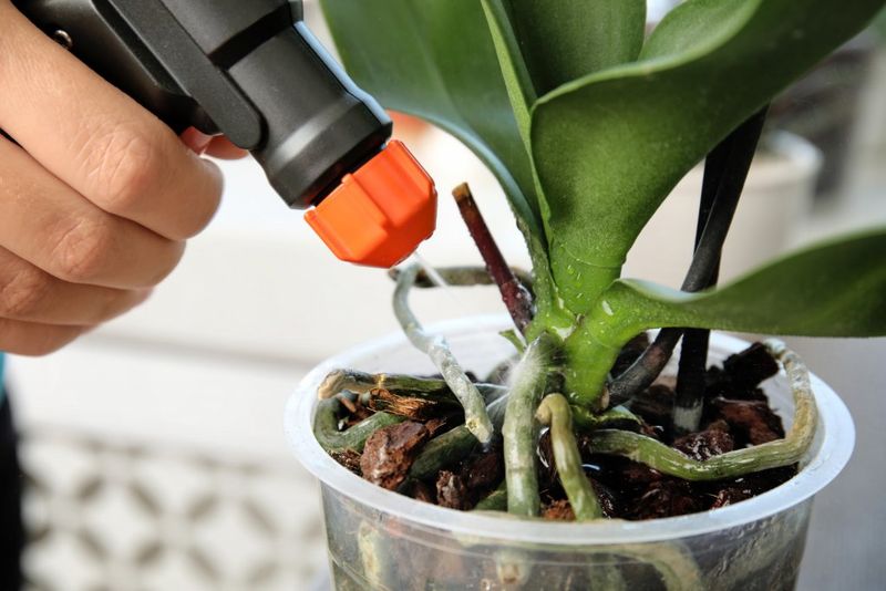 Diluted Fertilizer Application