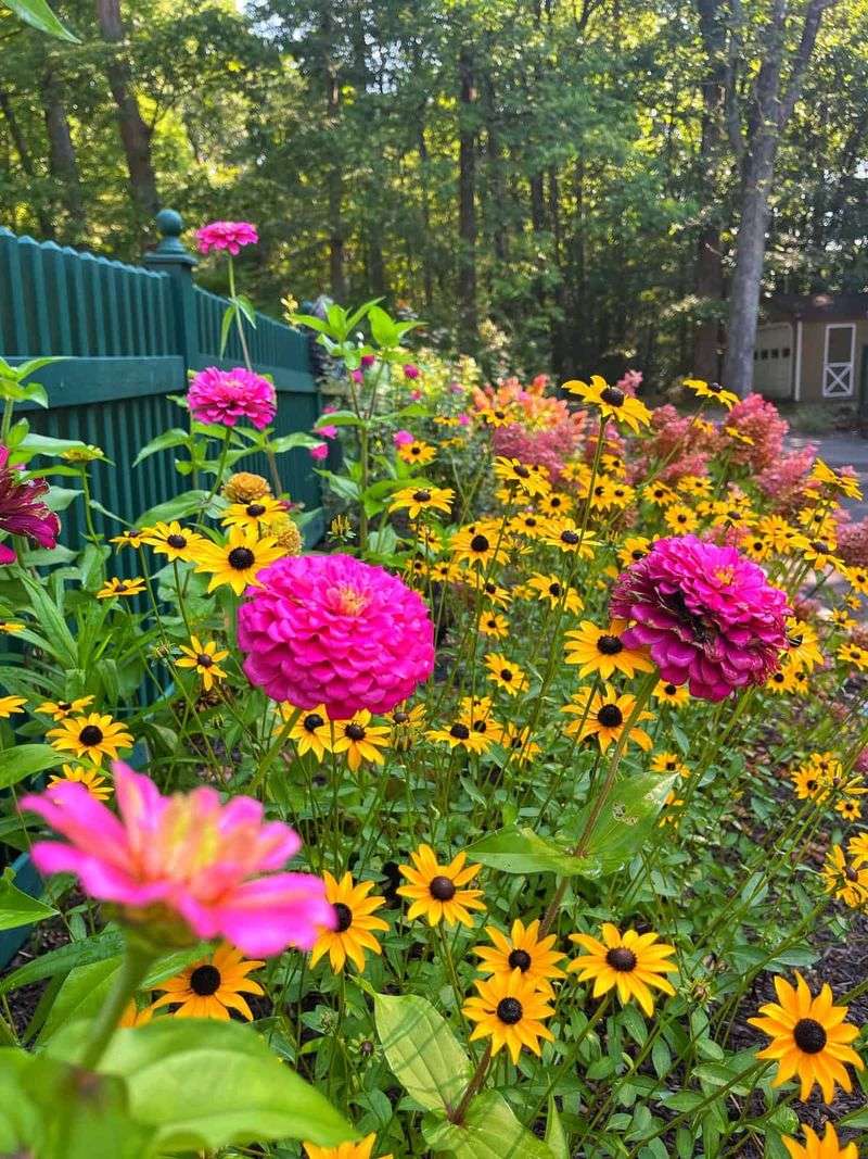 Companion Plants