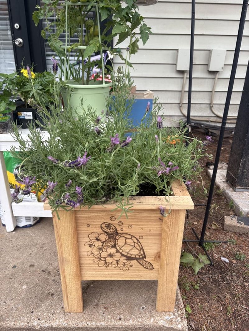 Refresh Container Soil Annually
