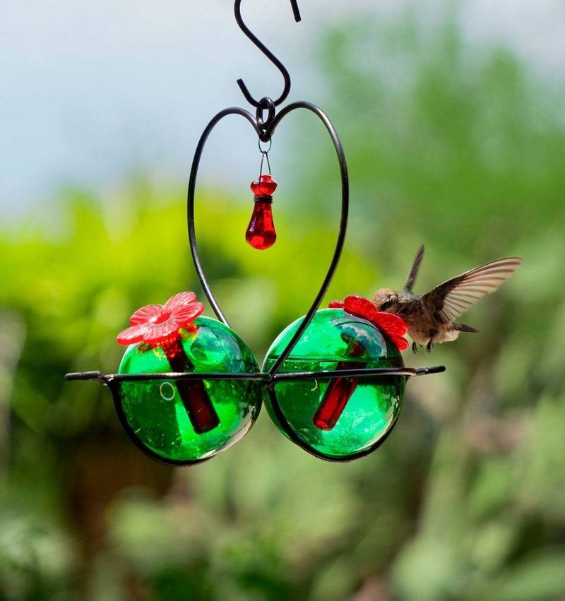 Fruit Feeders