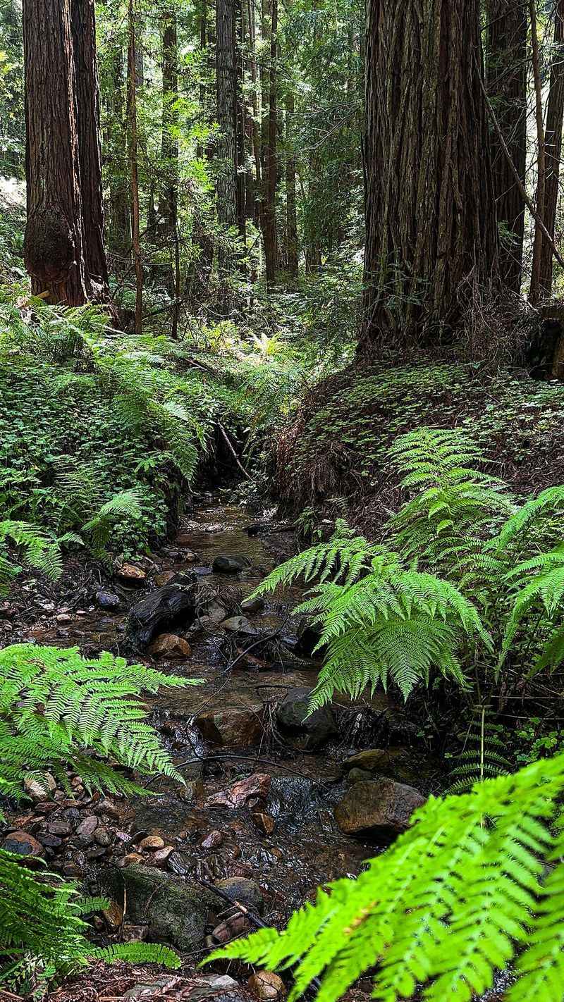 Embrace Micro-Climates