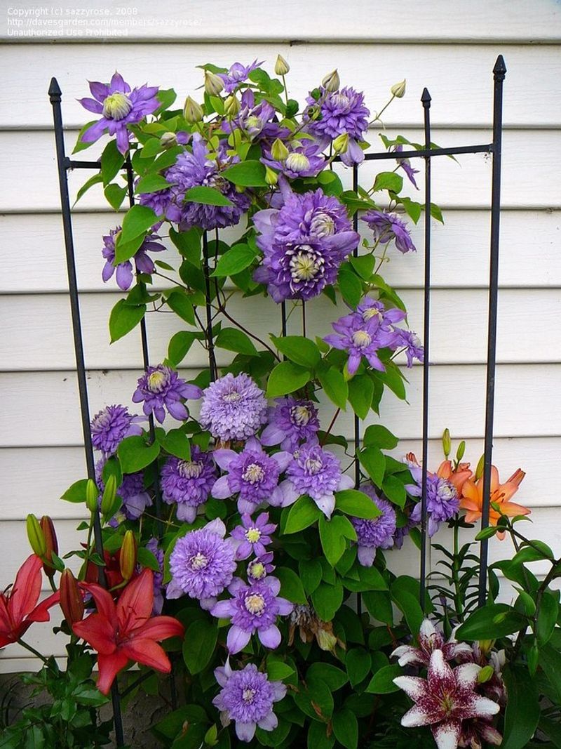Manage Sunlight Exposure