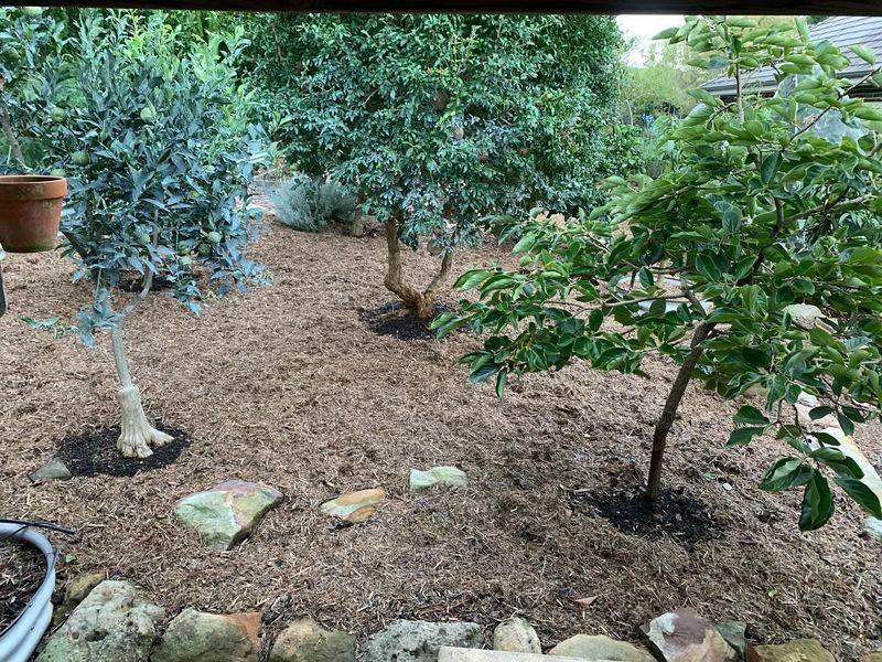 Apply Organic Mulch